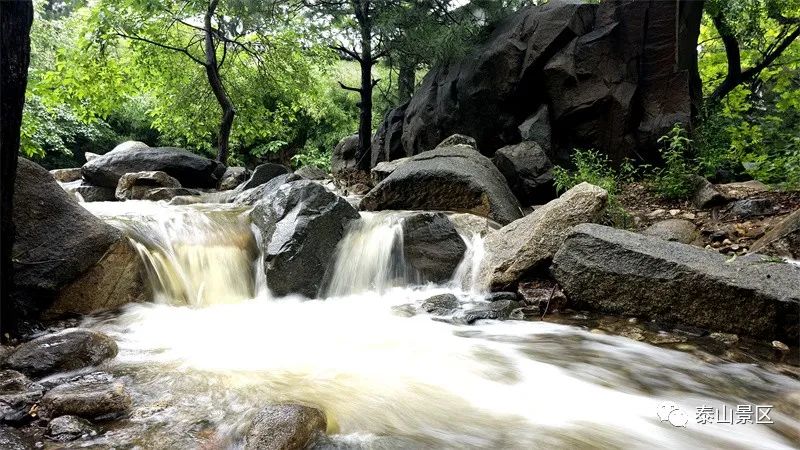 泰山奇石河神150萬_泰山奇石_泰山奇石介紹