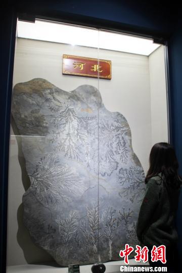 1300多方珍貴奇石在河北易縣展出引關注(圖)