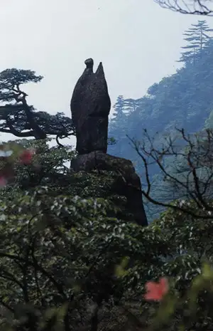 黃山奇石有哪些 黃山奇石圖片