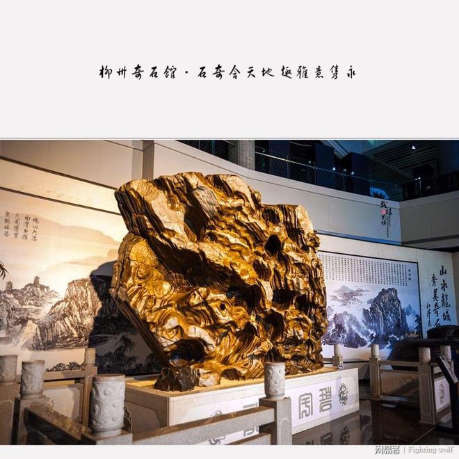 柳州奇石館介紹_柳州館奇石介紹圖片_柳州奇石館里有哪些化石