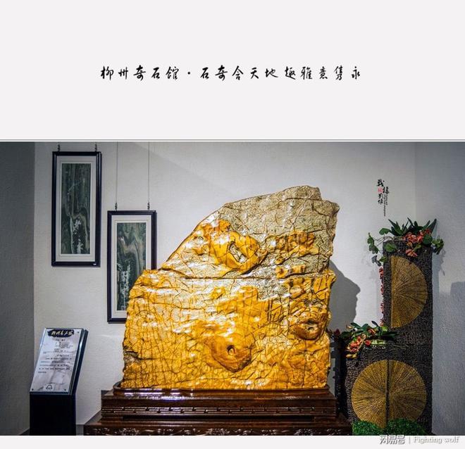 柳州奇石館里有哪些化石_柳州奇石館介紹_柳州館奇石介紹圖片