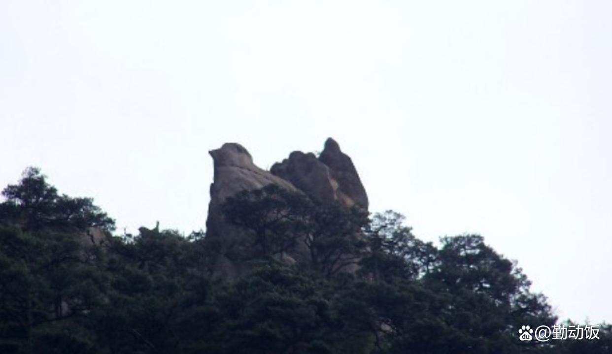 黃山奇石的石頭長(zhǎng)什么樣_黃山石頭奇石有哪些_黃山奇石有什么石頭