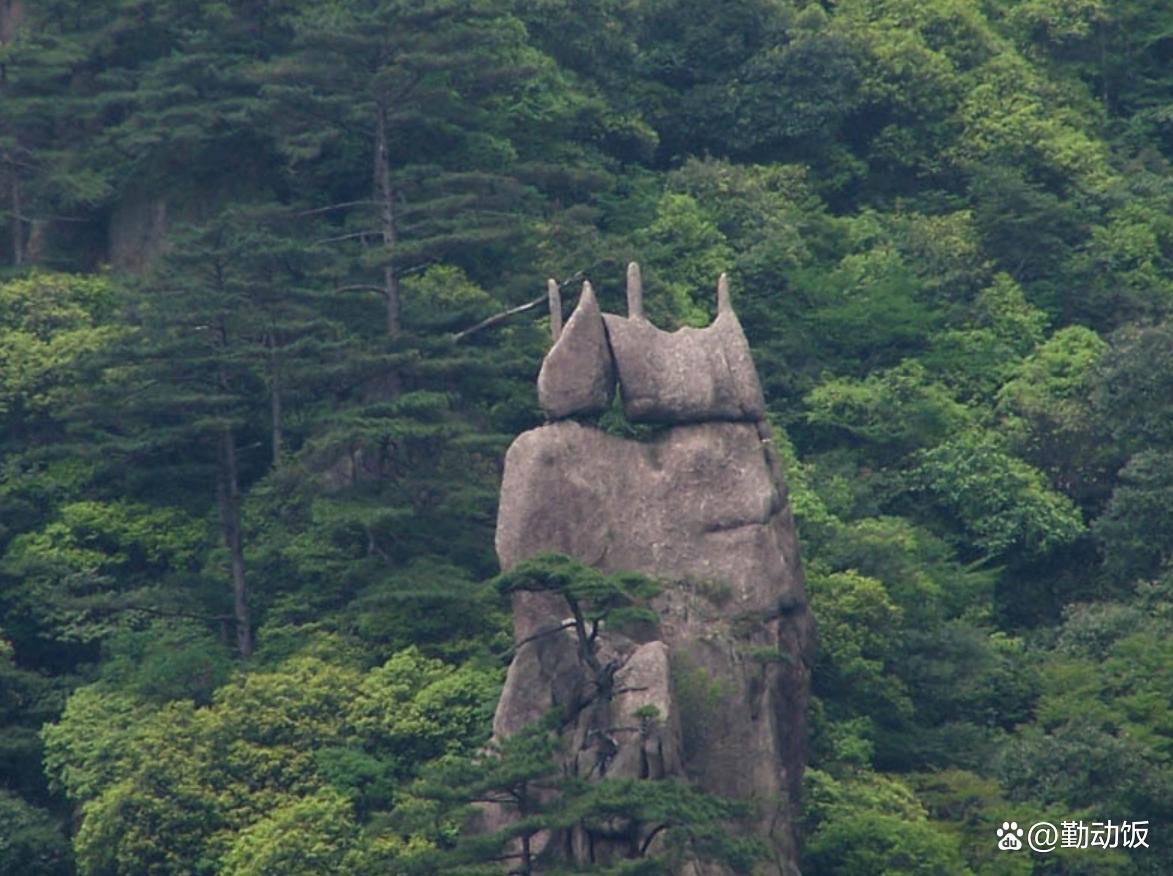 黃山石頭奇石有哪些_黃山奇石有什么石頭_黃山奇石的石頭長(zhǎng)什么樣