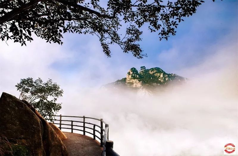 中華奇石園在哪里_中華奇石園_中華奇石館門票多少