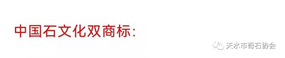 天地奇石里面是什么完美世界_天地奇石里面是什么_天地奇石里面是什么東西