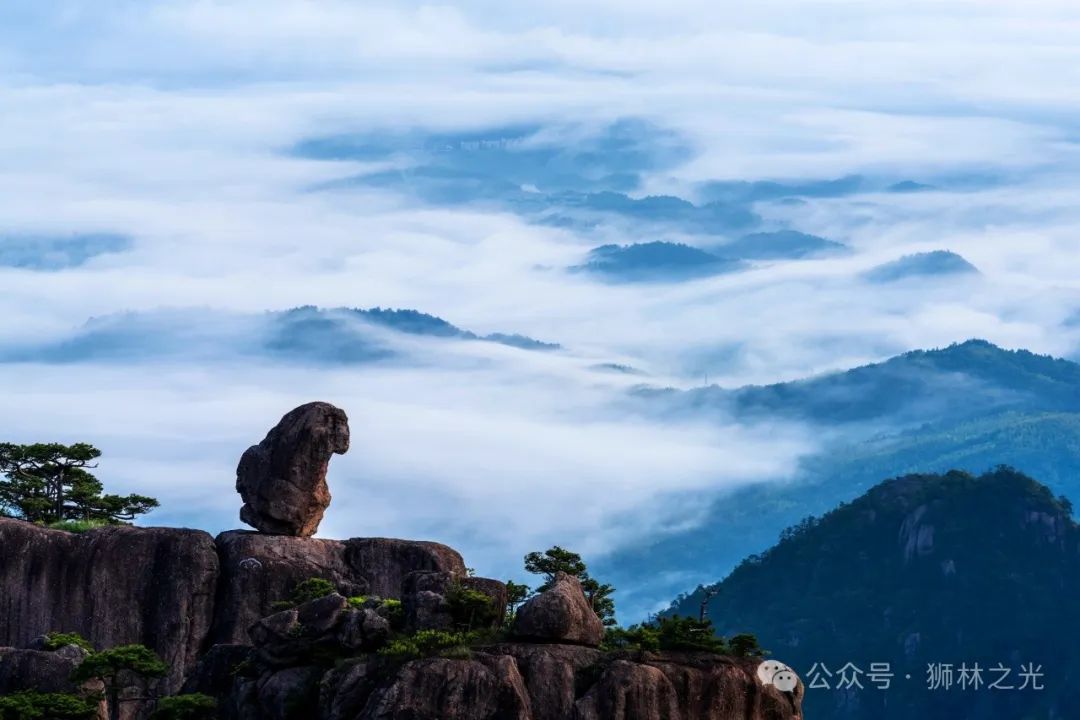 黃山奇石中_黃山奇石中心思想_黃山奇石中的仙人是什么意思